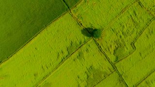 Crédit Agricole incentivises Asian corporates to advance the net zero transition Crédit Agricole incentivises Asian corporates to advance the net zero transition