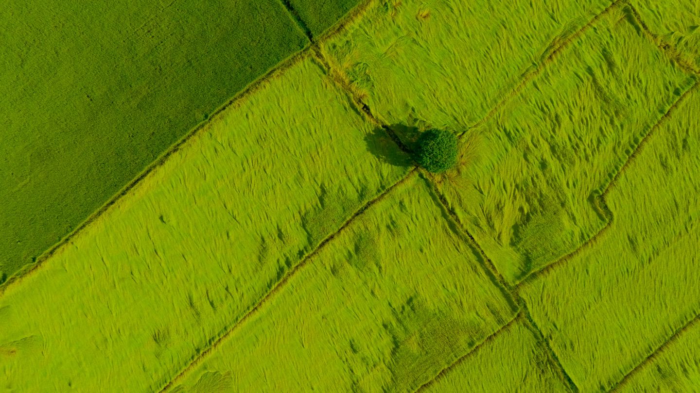 Crédit Agricole incentivises Asian corporates to advance the net zero transition Crédit Agricole incentivises Asian corporates to advance the net zero transition