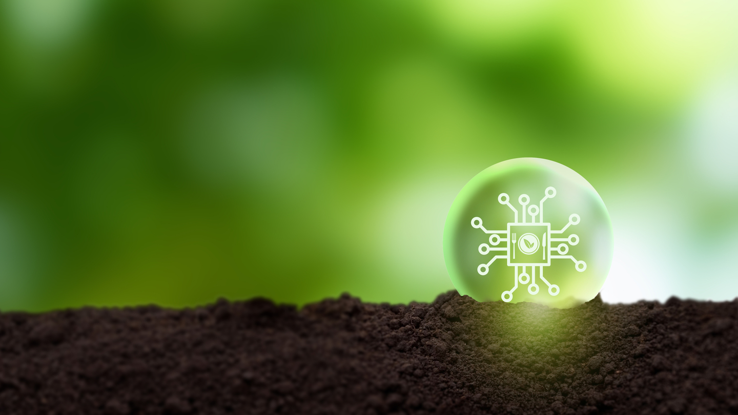 Asia social finance funding to increase over 10% in 2025: Citi Asia social finance funding to increase over 10% in 2025: Citi