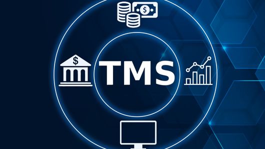 Don't drop your bundle: how TMS costs can work in your favour Don't drop your bundle: how TMS costs can work in your favour