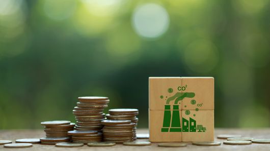 Are voluntary carbon markets an attractive green investment tool? Are voluntary carbon markets an attractive green investment tool?