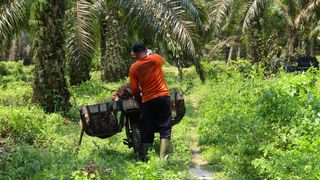 Musim Mas converts revolving credit facility into SLL Musim Mas converts revolving credit facility into SLL