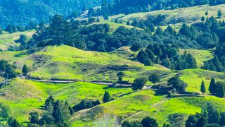 New Zealand’s Pāmu names CFO New Zealand’s Pāmu names CFO