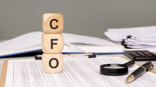 India's Oyster Renewable Energy appoints CFO India's Oyster Renewable Energy appoints CFO