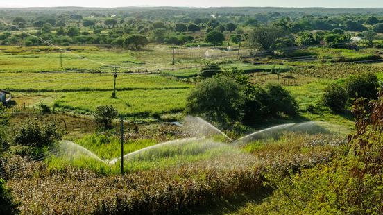 COFCO International agrees $435m SLL to bolster agriculture supply chains COFCO International agrees $435m SLL to bolster agriculture supply chains