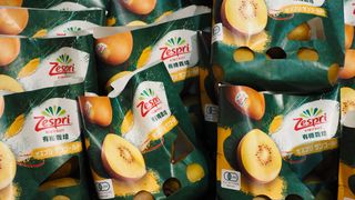 New Zealand's Zespri International appoints Vicki McColl as CFO New Zealand's Zespri International appoints Vicki McColl as CFO