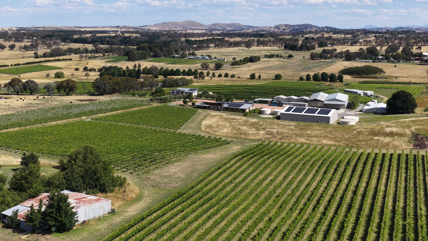 CFO at Australian Vintage resigns CFO at Australian Vintage resigns