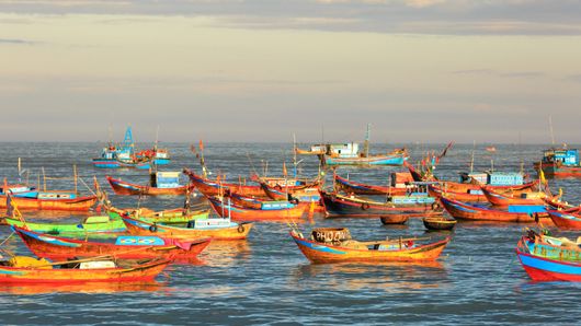 Tradewind Finance agrees $1.5m export factoring facility with Vietnamese seafood firm Tradewind Finance agrees $1.5m export factoring facility with Vietnamese seafood firm