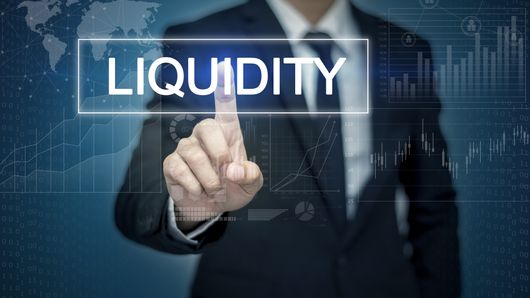 Managing liquidity risk top mandate for treasurers – Deloitte report Managing liquidity risk top mandate for treasurers – Deloitte report