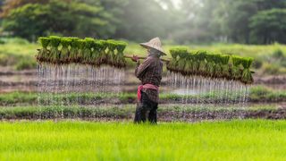 ADM’s new Indonesia fund targets agricultural sector ADM’s new Indonesia fund targets agricultural sector