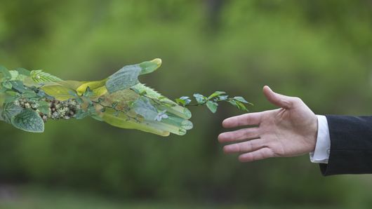 The Sustainable Treasurer highlights: Encouraging green supplier behaviour through finance The Sustainable Treasurer highlights: Encouraging green supplier behaviour through finance