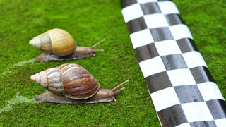 Final hurdle cleared for BPOs to take off Final hurdle cleared for BPOs to take off