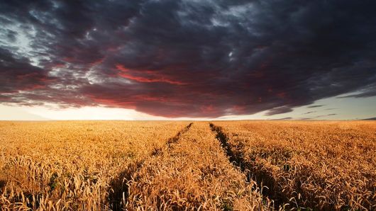 The dark cloud over the variable interest entity The dark cloud over the variable interest entity