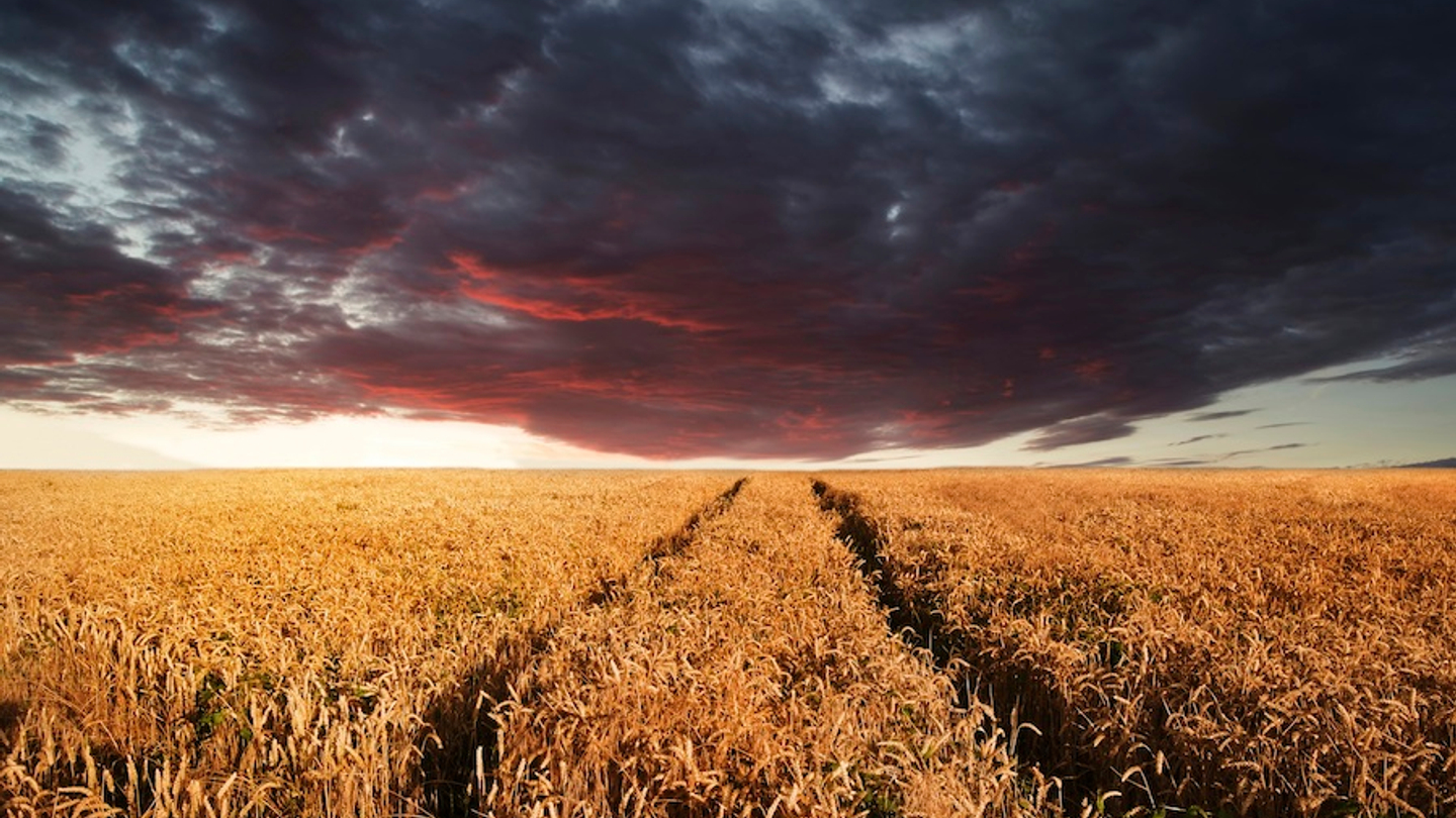 The dark cloud over the variable interest entity The dark cloud over the variable interest entity