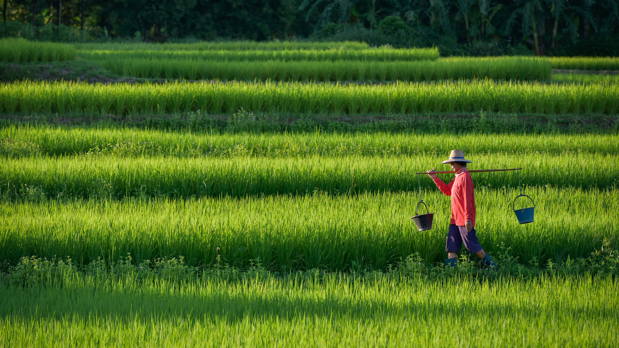 How new technology can help lift agri returns