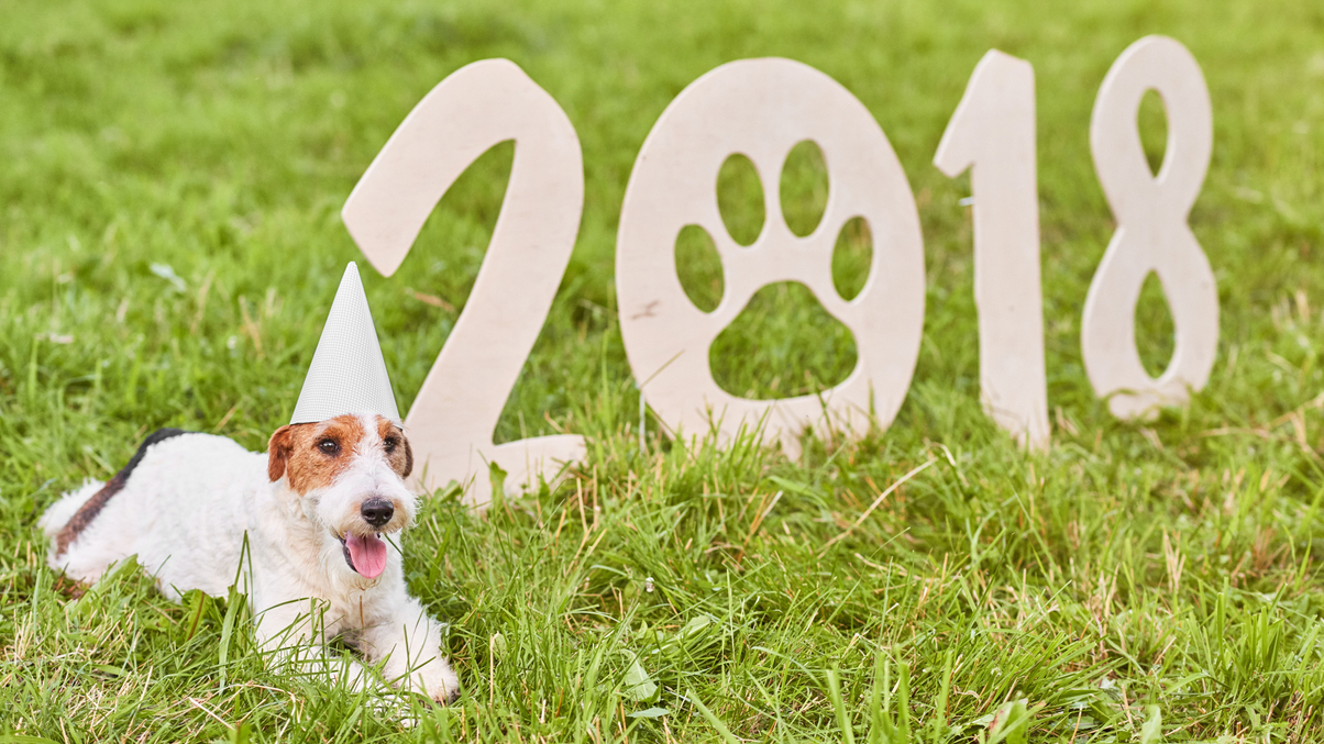 Happy Chinese New Year from <em>AsianInvestor</em>