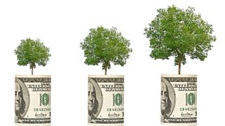 The new ESG frontier: pricing nature into treasury The new ESG frontier: pricing nature into treasury