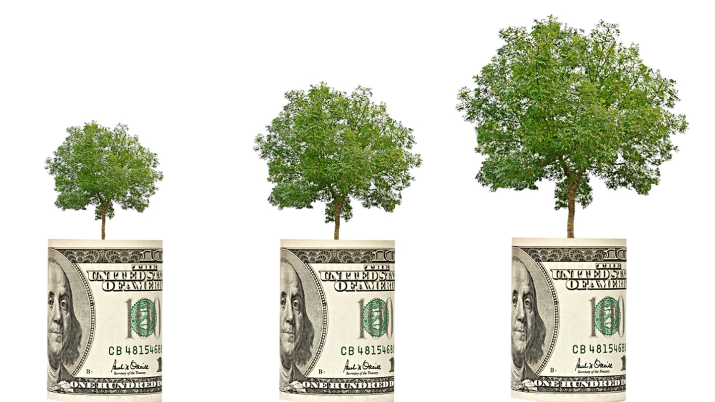 The new ESG frontier: pricing nature into treasury The new ESG frontier: pricing nature into treasury