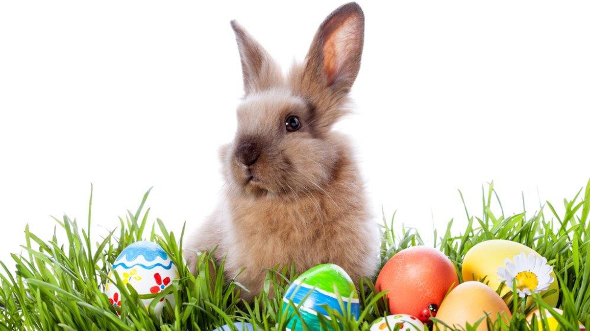 AsianInvestor takes Easter break