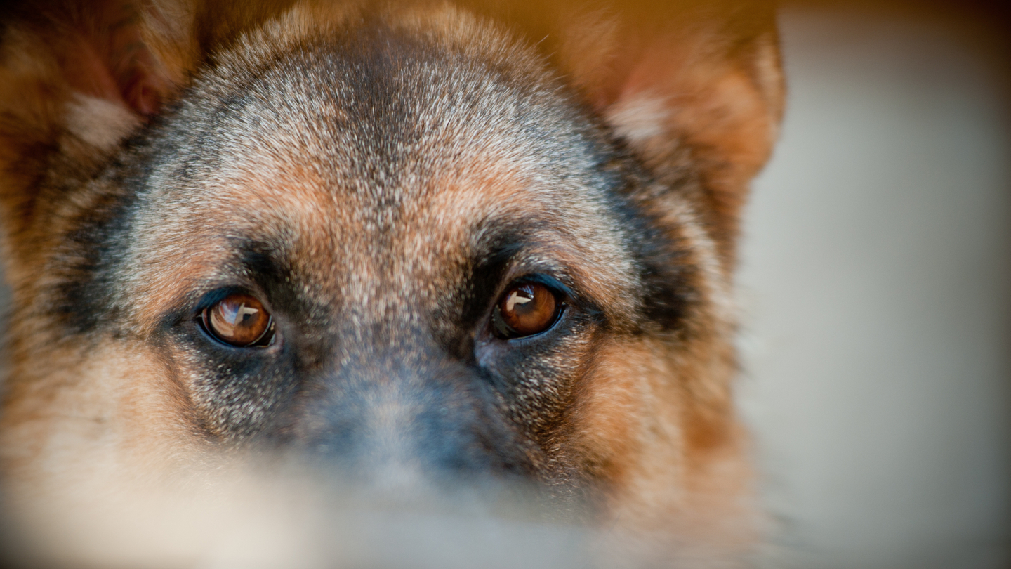 China's Safe ramps up pace of foreign exchange punishments China's Safe ramps up pace of foreign exchange punishments