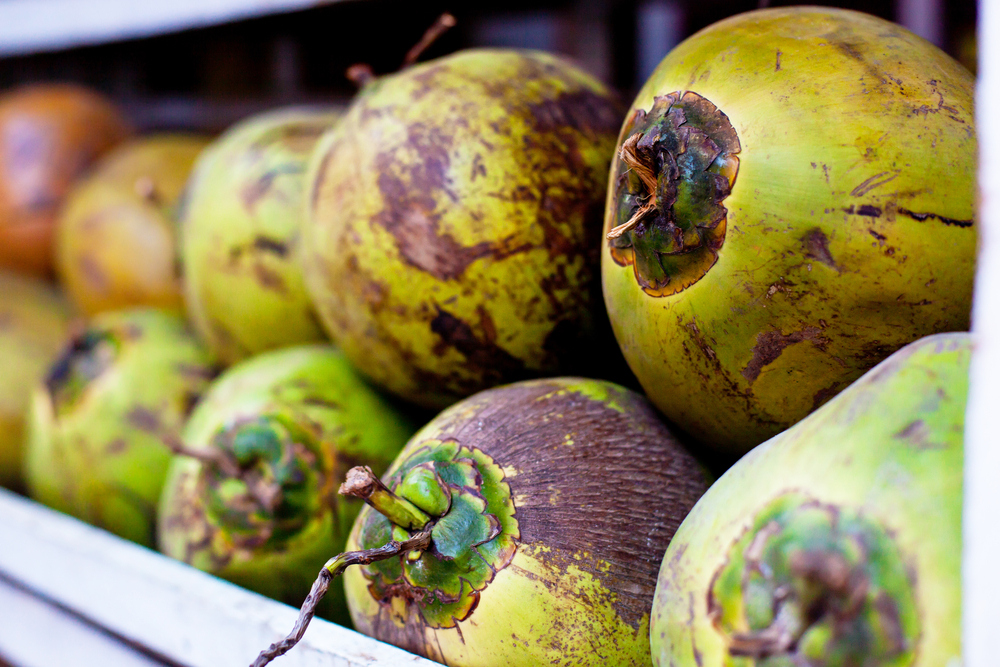 United Coconut Planters attract local banks M&A Deals News