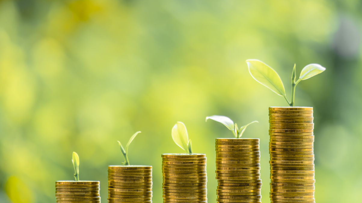 Governments must be in on the act for sustainable investing, say experts