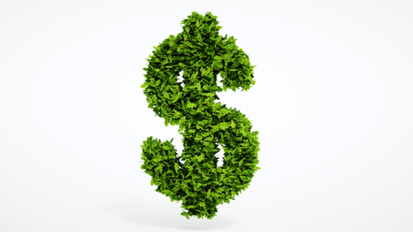 Sustainable finance: How your supply chain can get you cheaper loans Sustainable finance: How your supply chain can get you cheaper loans