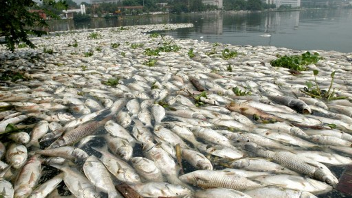 Why investors need a way to work out their water risk