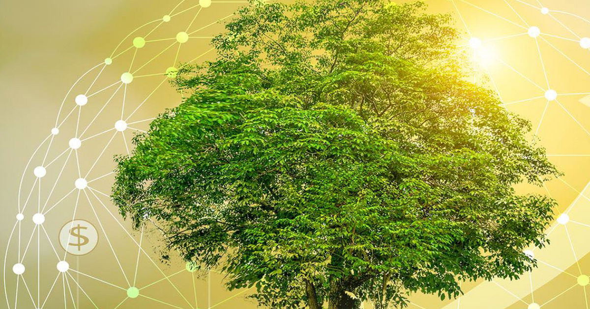 New report on transition finance launched by BDO and other leading Asian banks New report on transition finance launched by BDO and other leading Asian banks