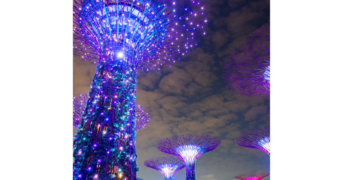 Cultivating a sustainable, carbon-free future | carbon trading, sustainability, southeast asia, net zero, esg, low carbon, energy transition Cultivating a sustainable, carbon-free future | carbon trading, sustainability, southeast asia, net zero, esg, low carbon, energy transition