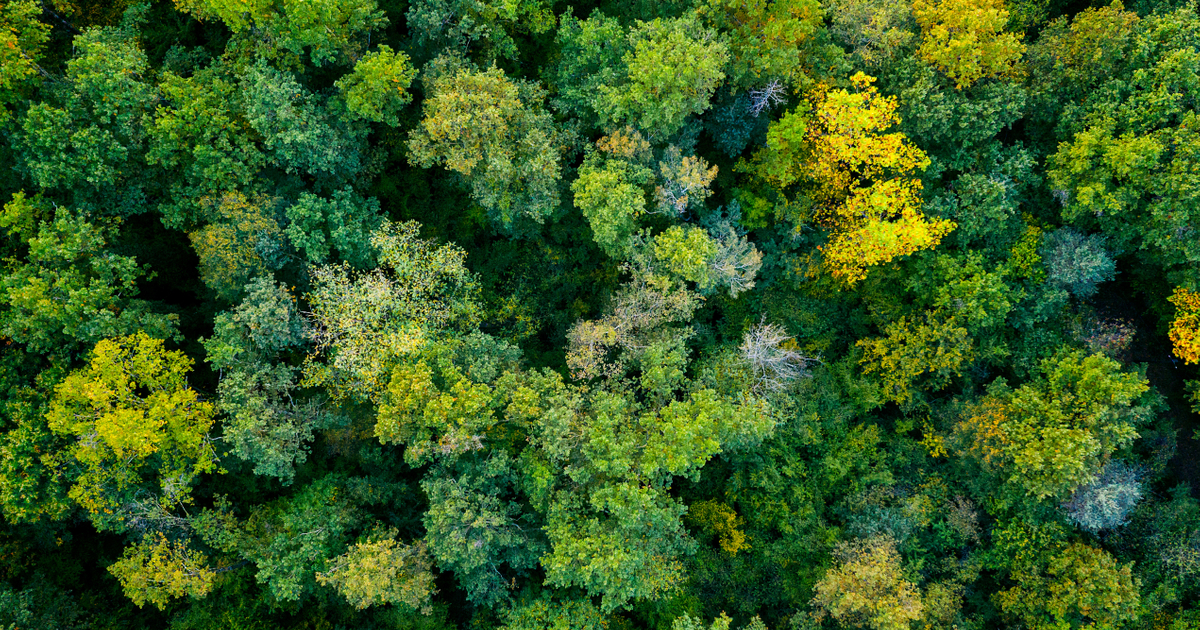 Financing Local weather Change highlights: investor engagement essential to drive change | engine no1, david swift, shareholder activism, esg, sustainability, financing local weather change, keynote Financing Local weather Change highlights: investor engagement essential to drive change | engine no1, david swift, shareholder activism, esg, sustainability, financing local weather change, keynote